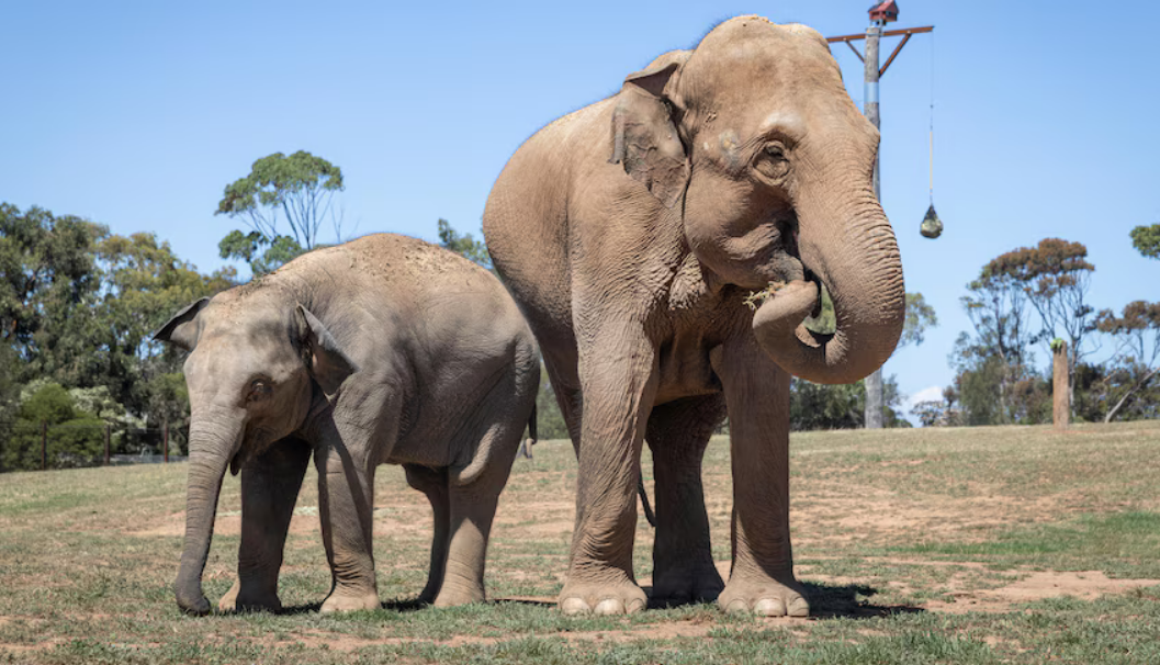 Werribee Zoo