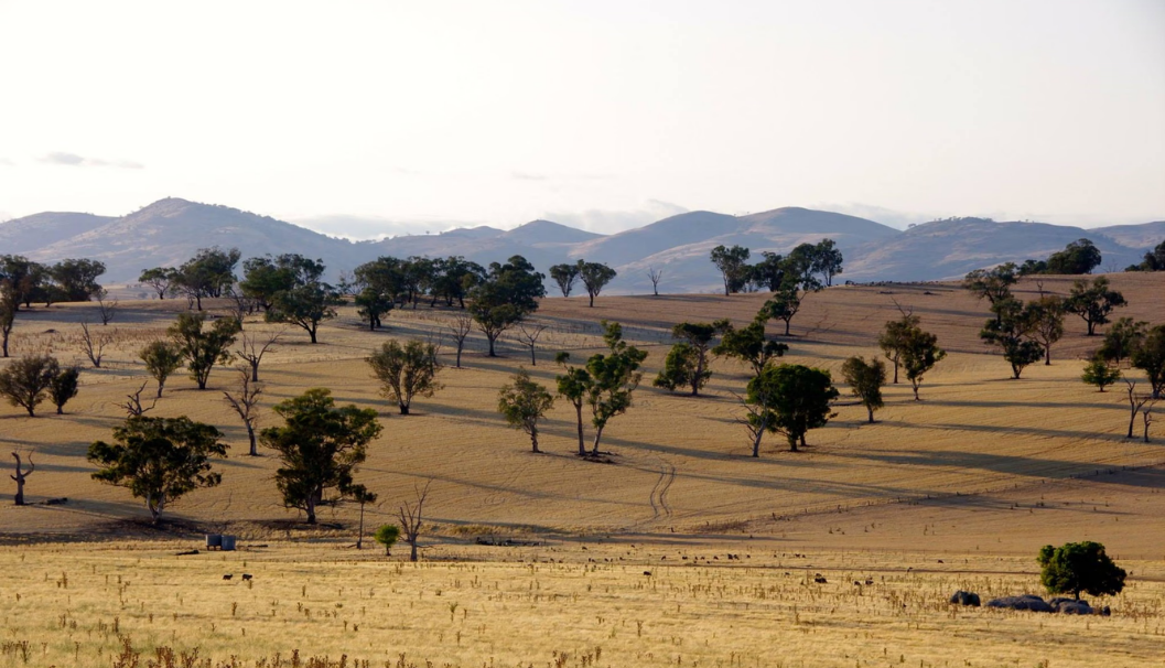 Australian Bush Culture Class